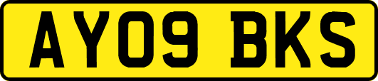 AY09BKS