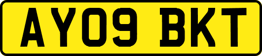 AY09BKT