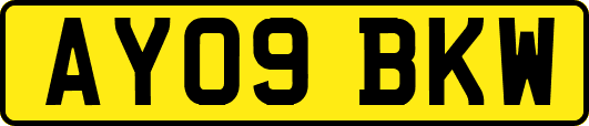AY09BKW