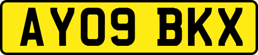 AY09BKX