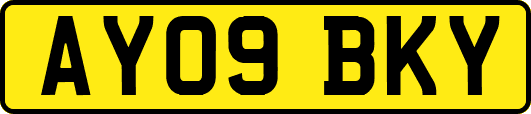 AY09BKY