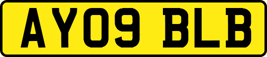 AY09BLB