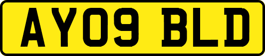 AY09BLD