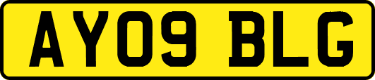 AY09BLG