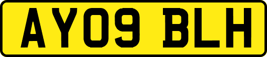 AY09BLH