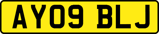 AY09BLJ