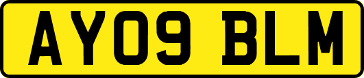 AY09BLM