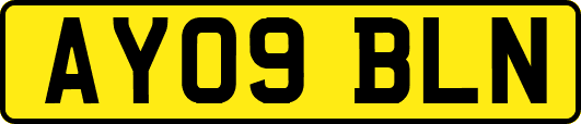AY09BLN