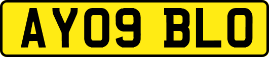 AY09BLO