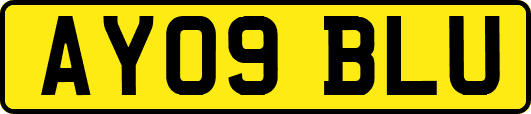 AY09BLU