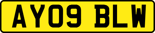 AY09BLW