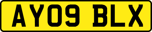 AY09BLX