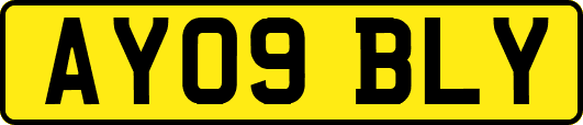 AY09BLY