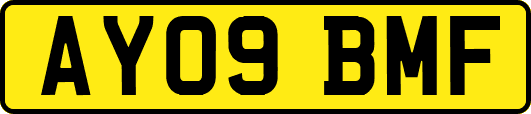 AY09BMF