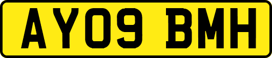 AY09BMH