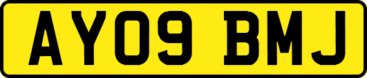 AY09BMJ