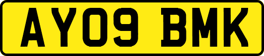 AY09BMK