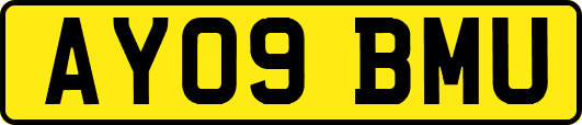 AY09BMU
