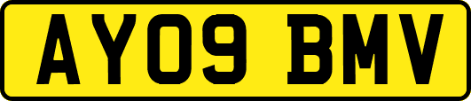AY09BMV