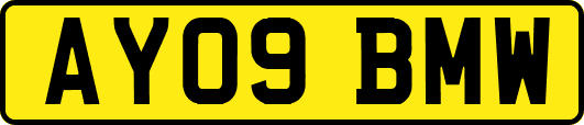 AY09BMW