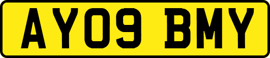AY09BMY