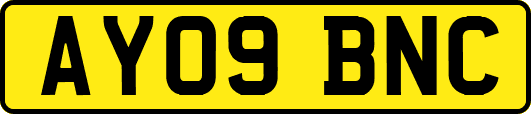 AY09BNC