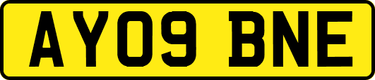 AY09BNE