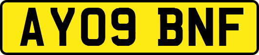 AY09BNF