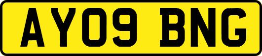AY09BNG