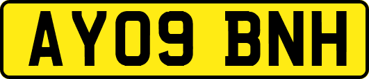AY09BNH