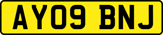 AY09BNJ
