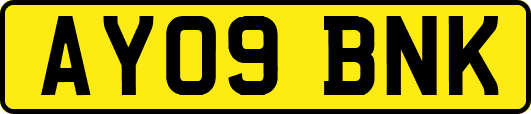 AY09BNK
