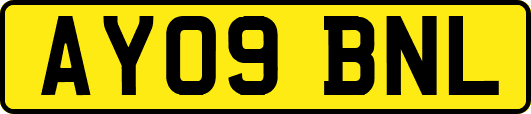 AY09BNL