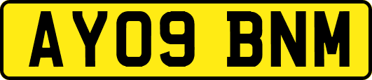 AY09BNM