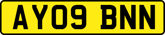 AY09BNN