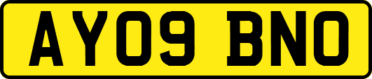 AY09BNO