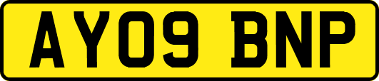 AY09BNP