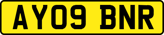 AY09BNR