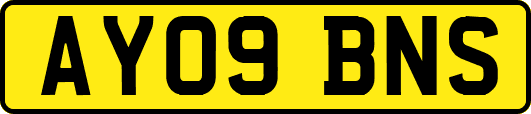 AY09BNS