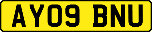 AY09BNU