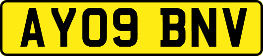 AY09BNV