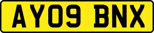 AY09BNX
