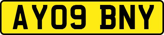 AY09BNY