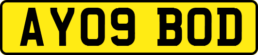 AY09BOD