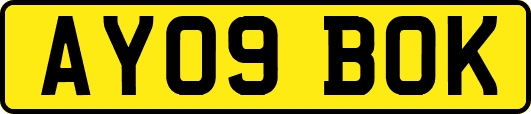 AY09BOK