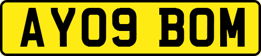 AY09BOM