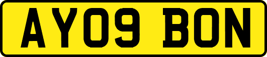 AY09BON