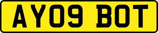 AY09BOT