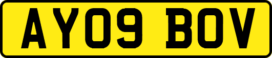 AY09BOV