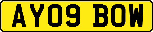 AY09BOW
